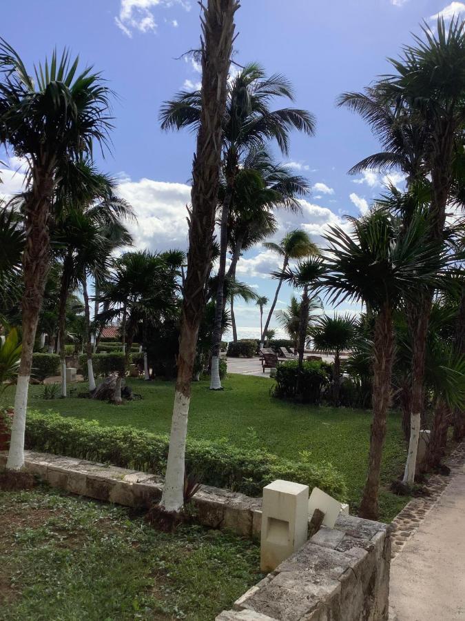 Beachaccess Hotelzone 3705 Cancun Bagian luar foto
